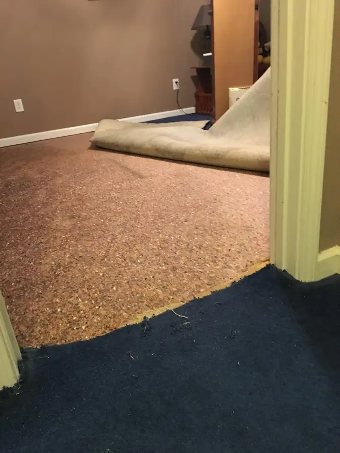 Carpet pad removal revealing water damage during Drying & Dehumidification in Millersville