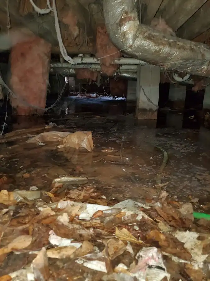Crawl space flood assessment for Leak Detection & Repair in Millersville